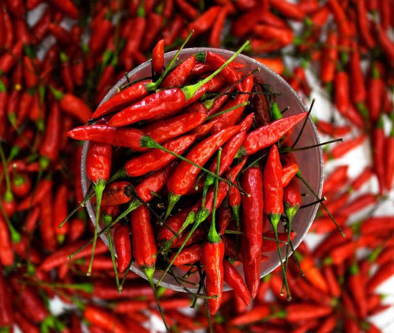Pili-Pili chili, Capsicum frutescens, paprika, csípős